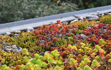 the cost of Broad Hinton green roof installation