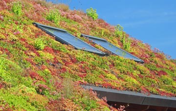 Broad Hinton living roof systems