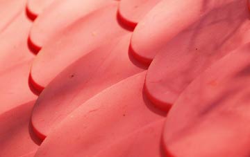 Broad Hinton plastic roof costs